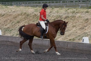 ISIS Dressage Challenge 2008